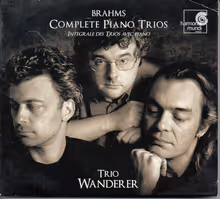 Cover art, Complete Piano Trios, Brahms, Trio Wanderer; Christophe Gaugué, viola