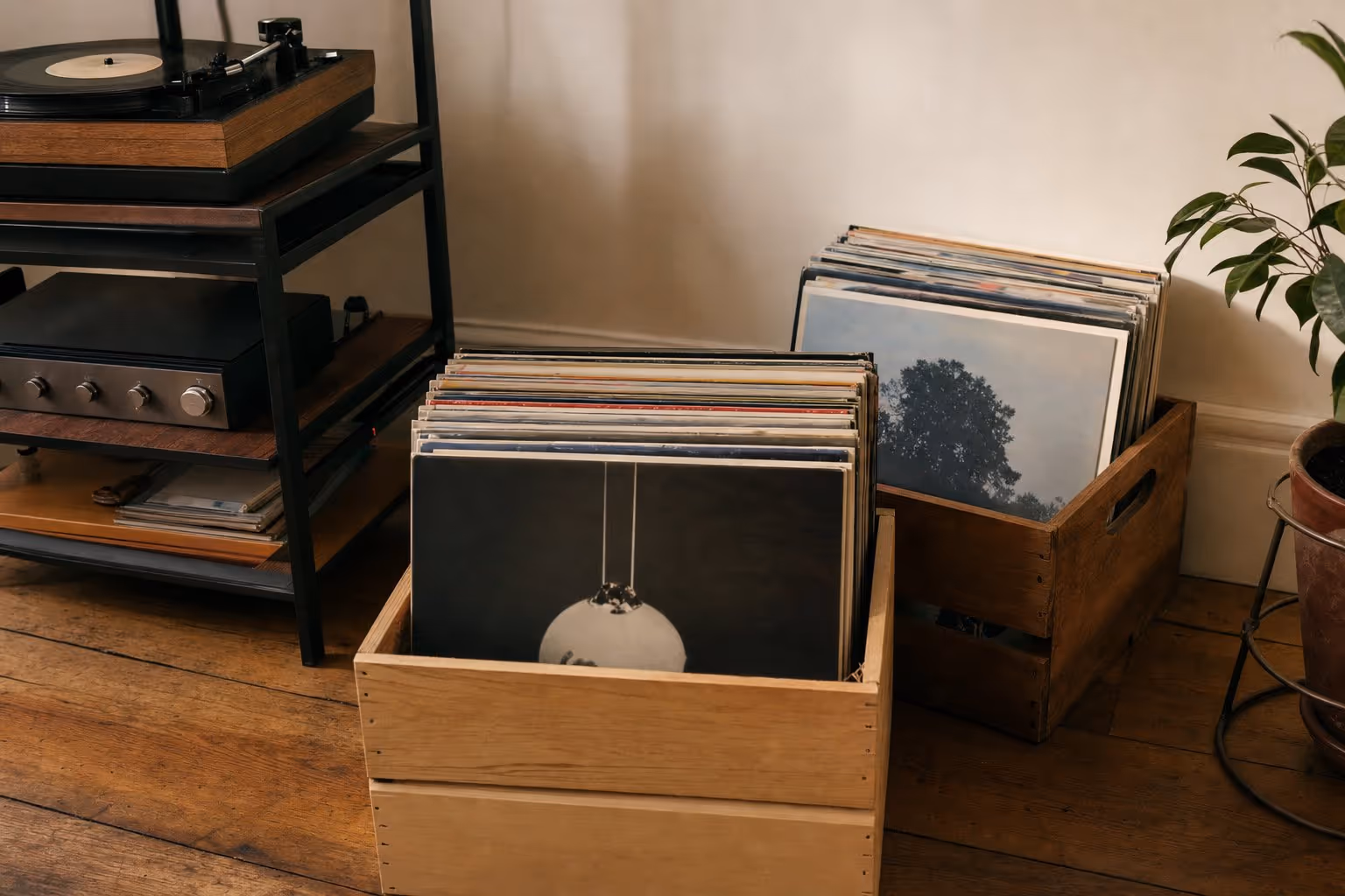 Crates vs. boxes: where to start a collection