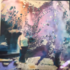Rough Magic, Roomful of Teeth (New Amsterdam Records)