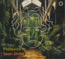 Cover art, Profesión, Villa-Lobos, Agustín Barrios Mangoré, Ginastera and others, Sean Shibe, guitar